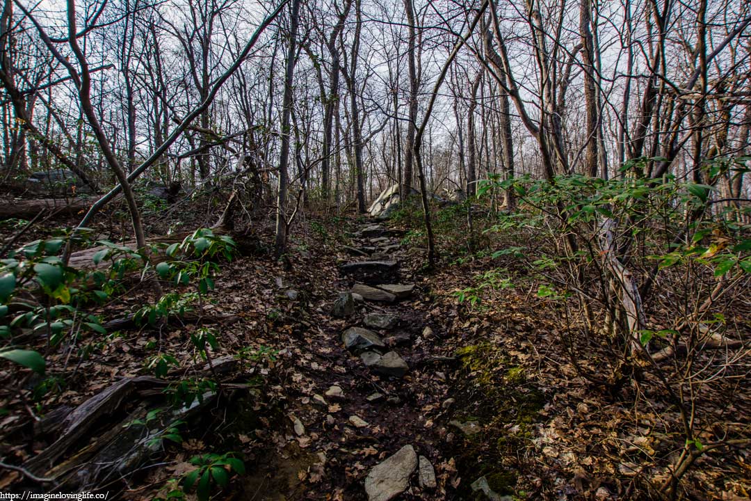 yellow trail ascent